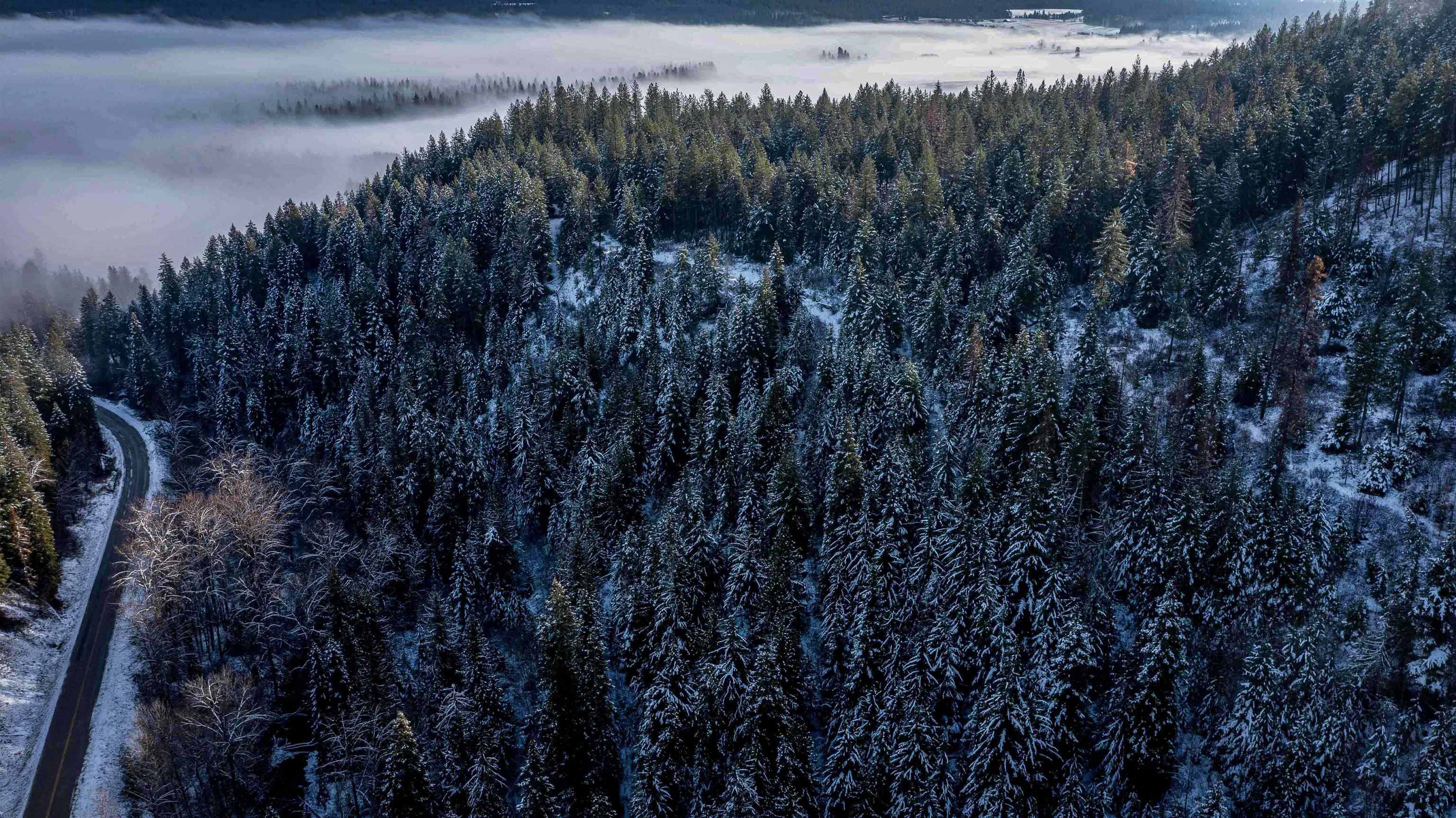 Nka Deer Creek Road Valley, WA 99181 - Photo 19 of 29