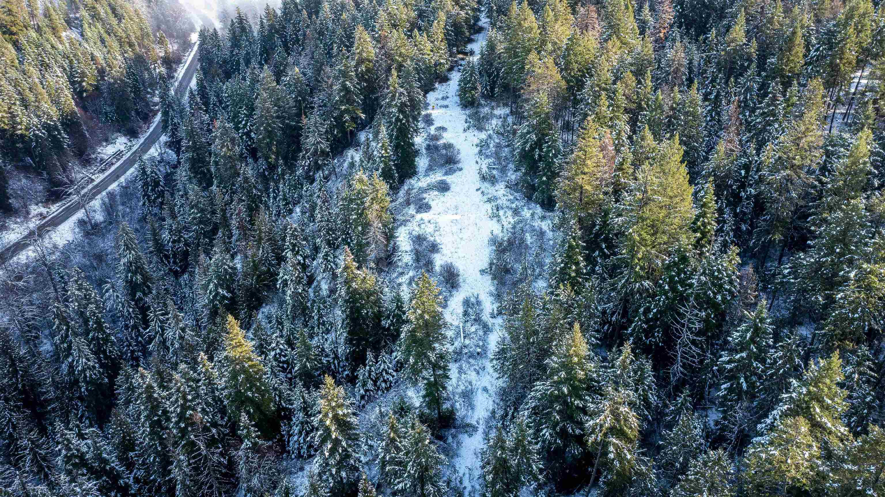 Nka Deer Creek Road Valley, WA 99181 - Photo 20 of 29