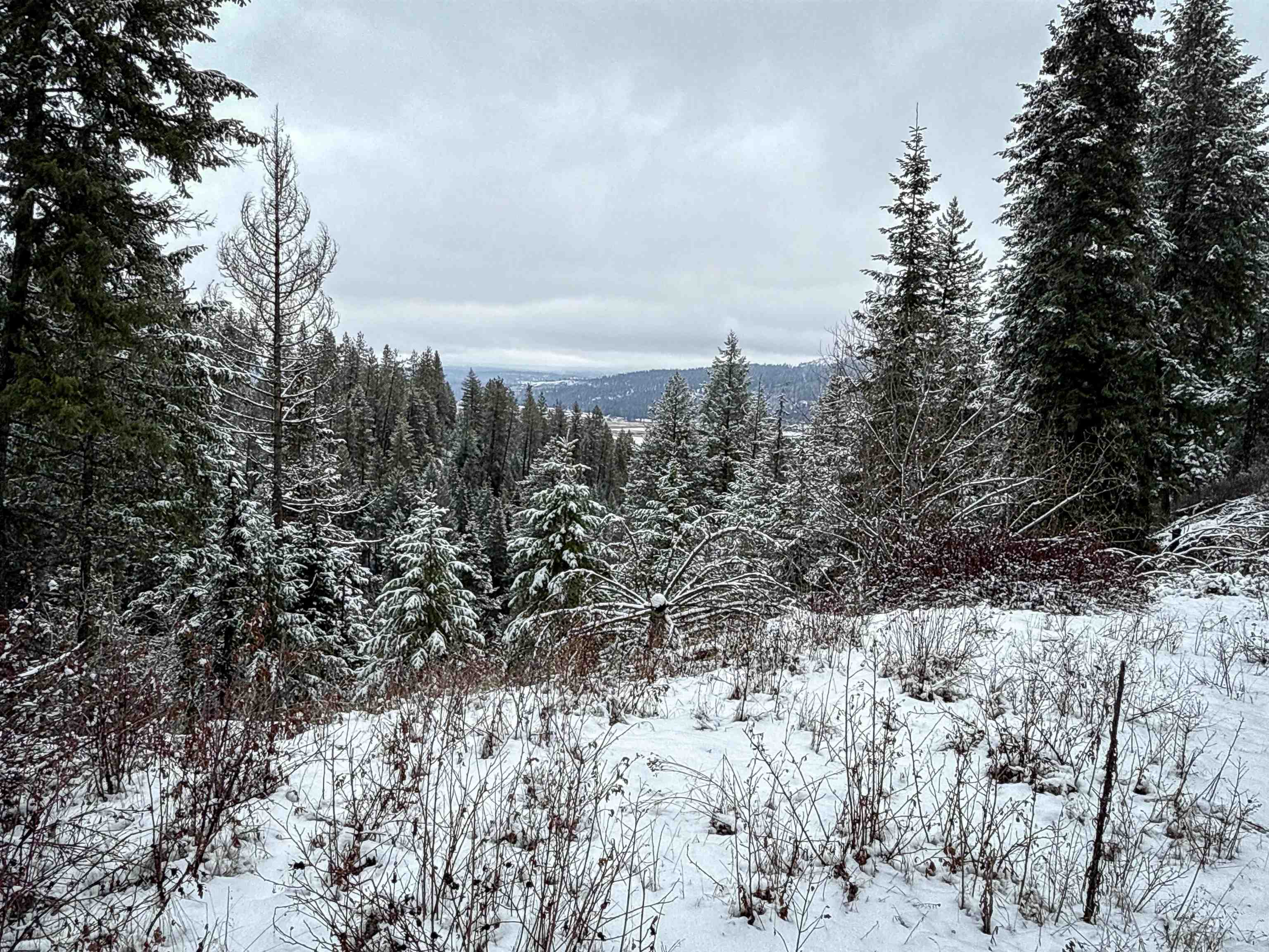 Nka Deer Creek Road Valley, WA 99181 - Photo 2 of 29