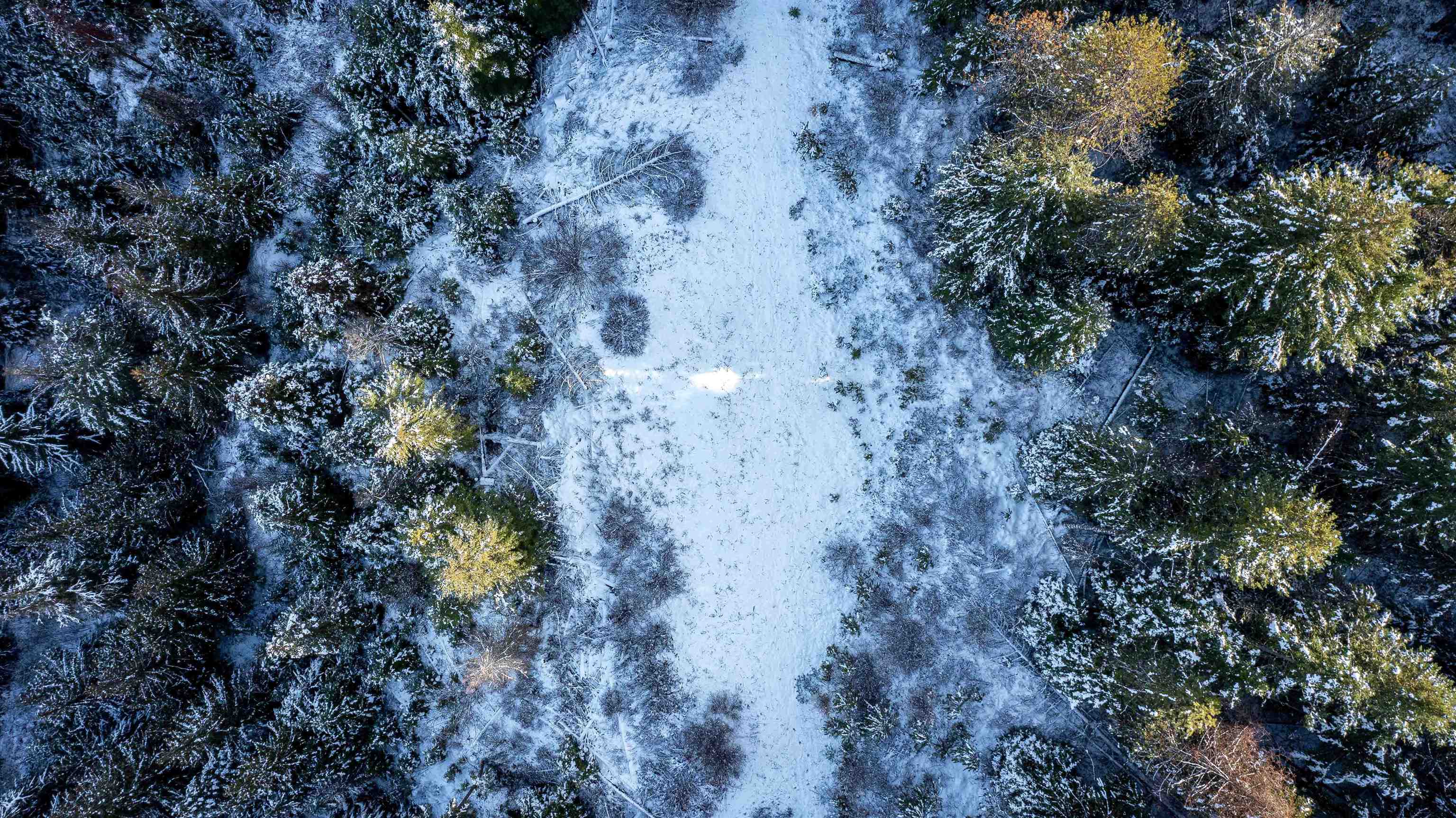 Nka Deer Creek Road Valley, WA 99181 - Photo 21 of 29