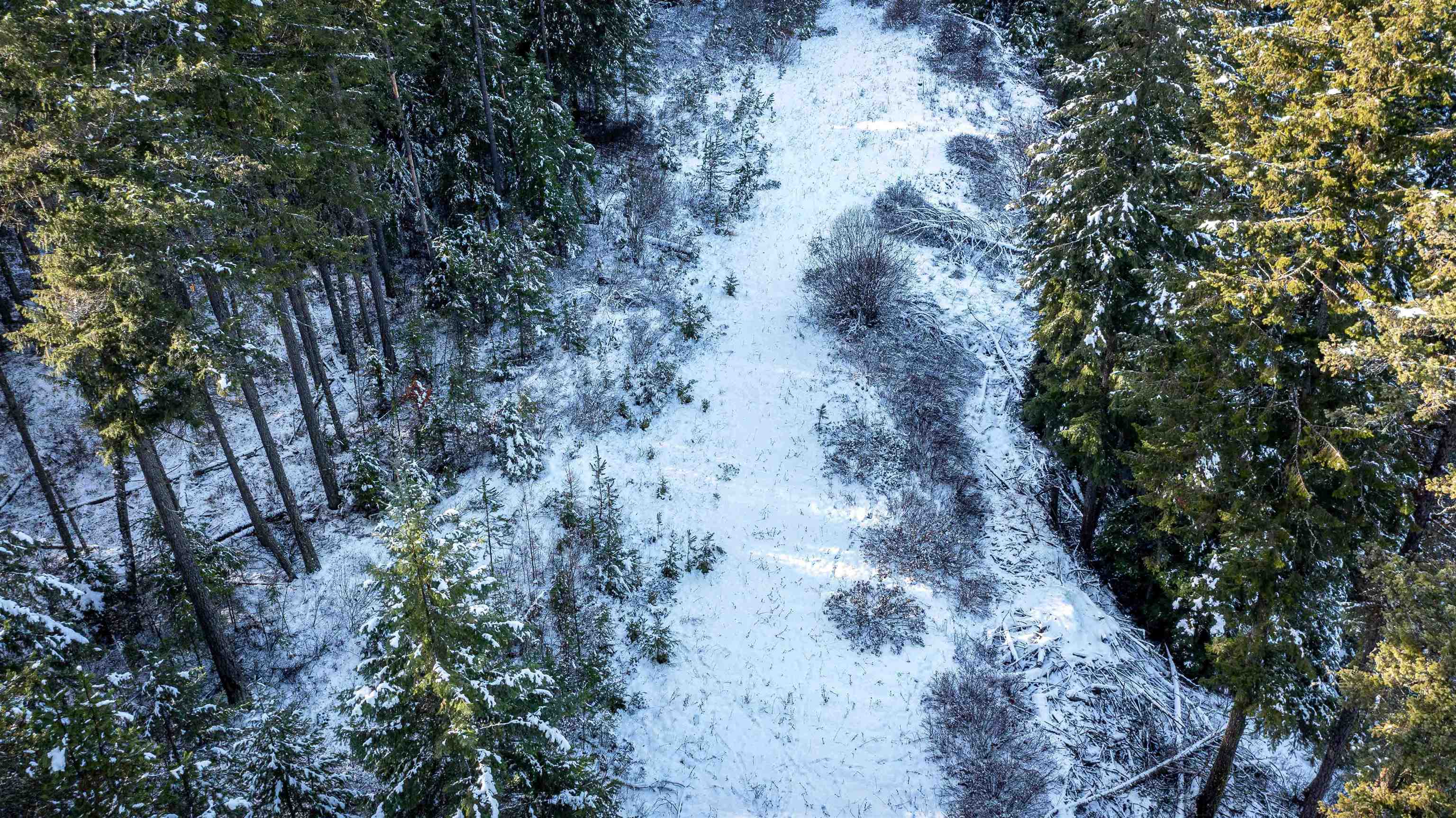 Nka Deer Creek Road Valley, WA 99181 - Photo 22 of 29