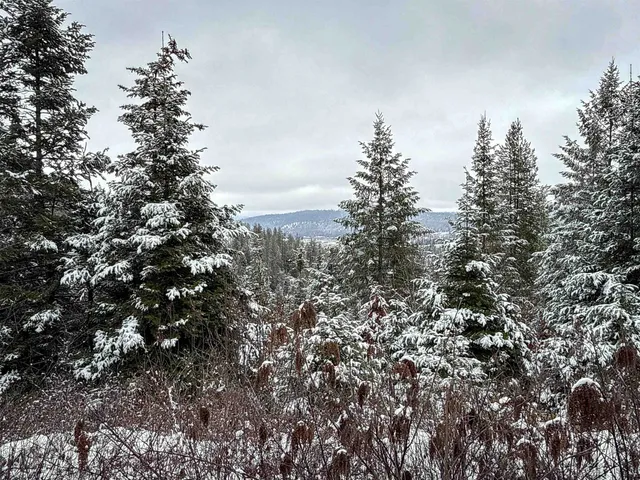 $95,000 | Nka Deer Creek Road, Valley, WA 99181