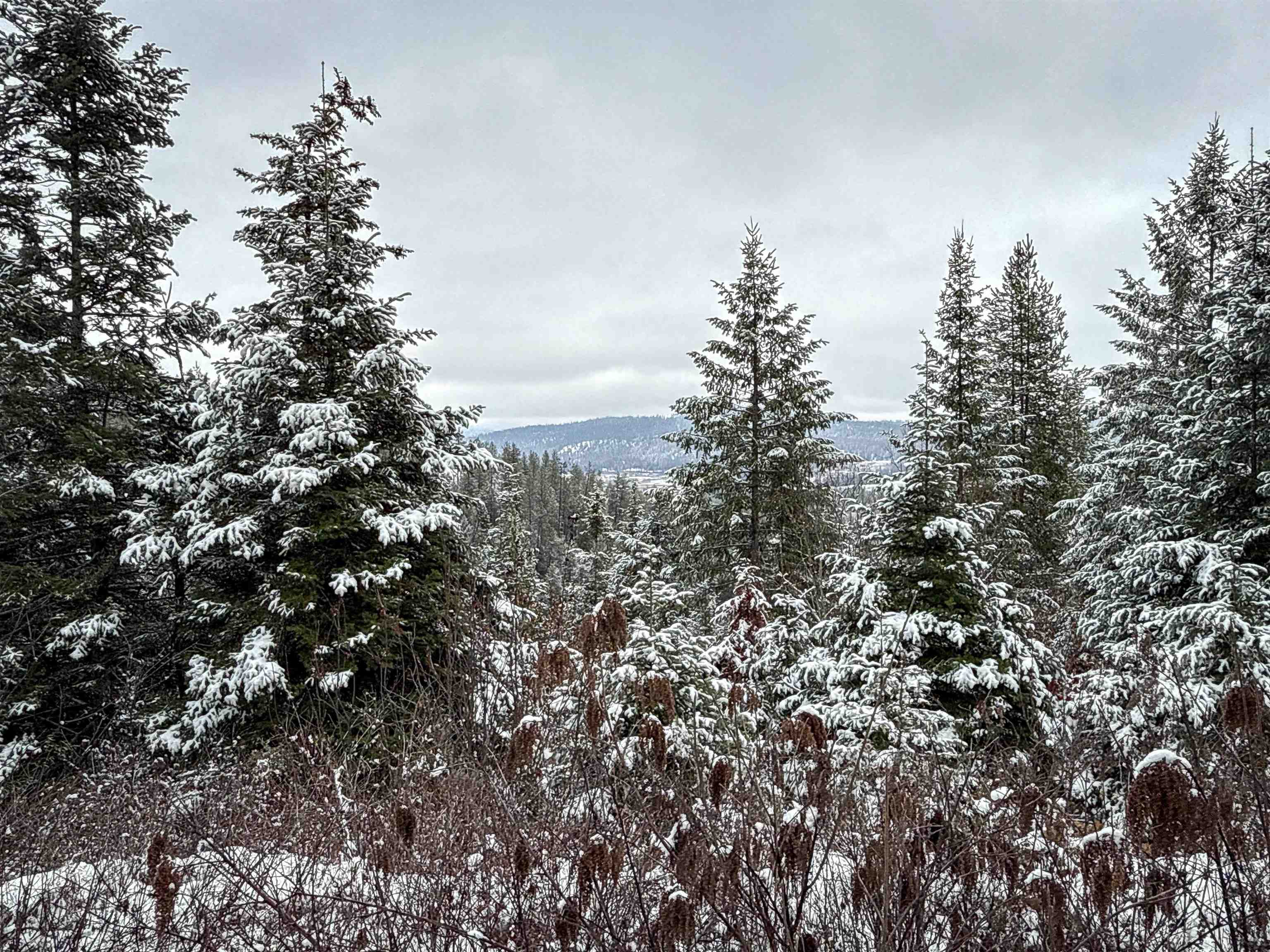 Nka Deer Creek Road Valley, WA 99181 - Photo 3 of 29