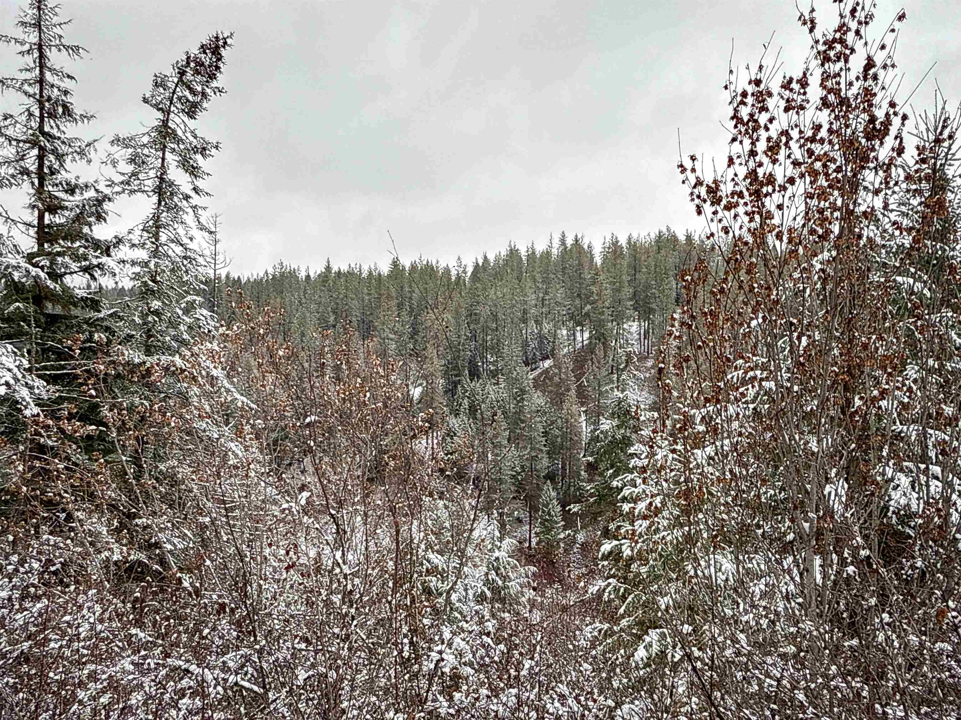 Nka Deer Creek Road Valley, WA 99181 - Photo 9 of 29