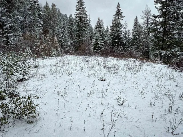 $95,000 | Nka Deer Creek Road, Valley, WA 99181