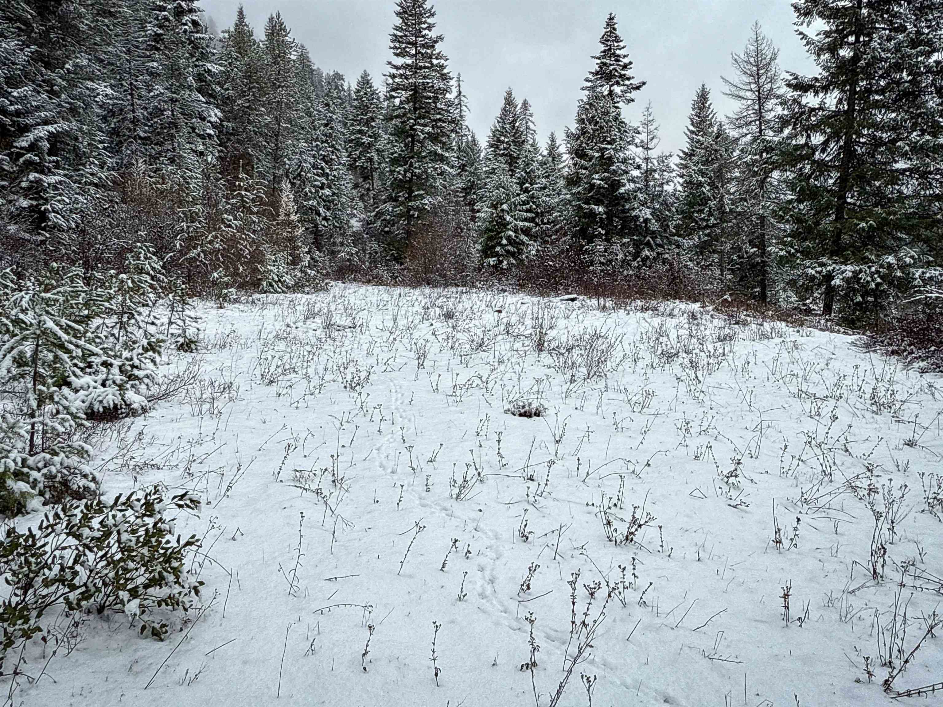 Nka Deer Creek Road Valley, WA 99181 - Photo 10 of 29