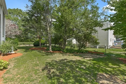 a view of a backyard