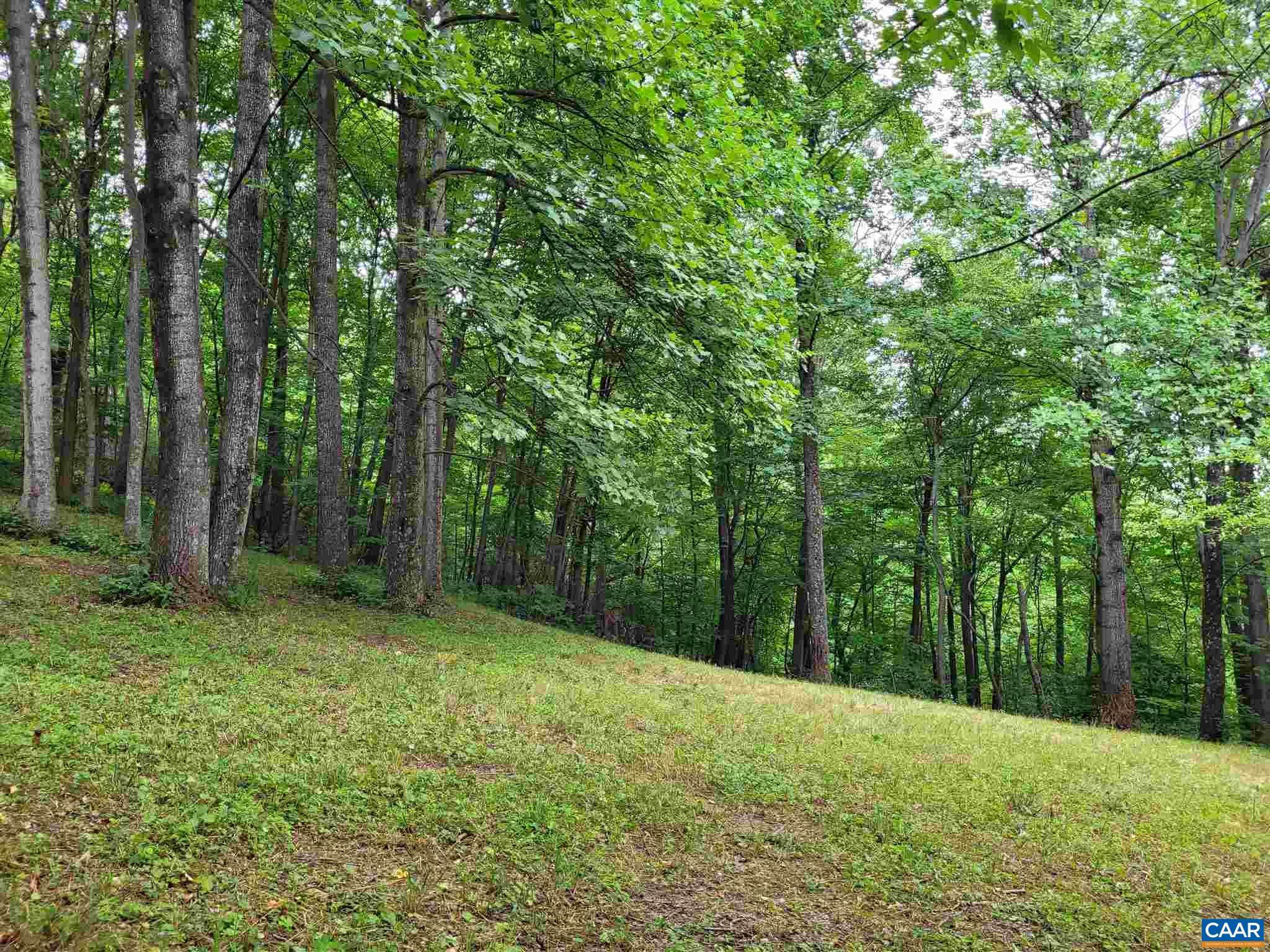 2057 Shifflett Road Dyke, VA 22935 - Photo 46 of 65 Gallery Image 46