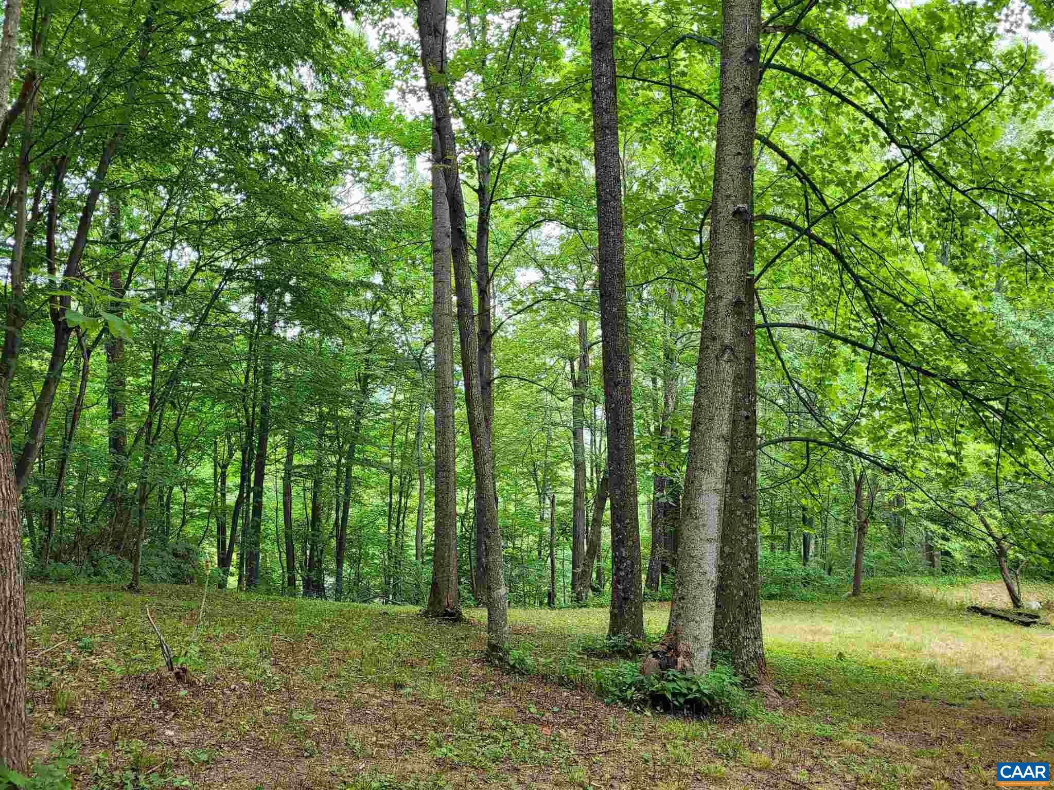 2057 Shifflett Road Dyke, VA 22935 - Photo 48 of 65 Gallery Image 48