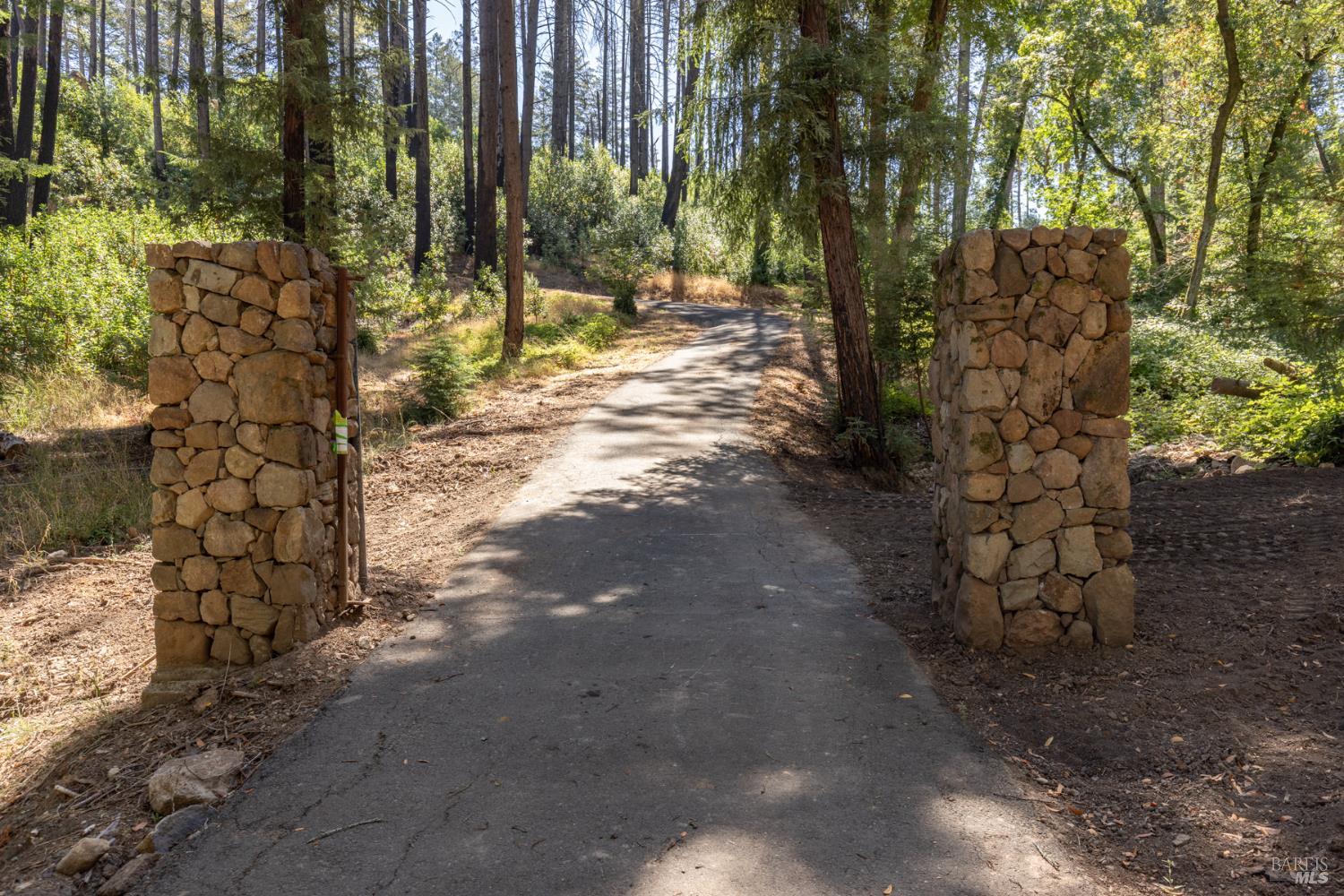 7007 Dry Creek Road Napa, CA 94558 - Photo 11 of 17 a view of a yard with plants and trees