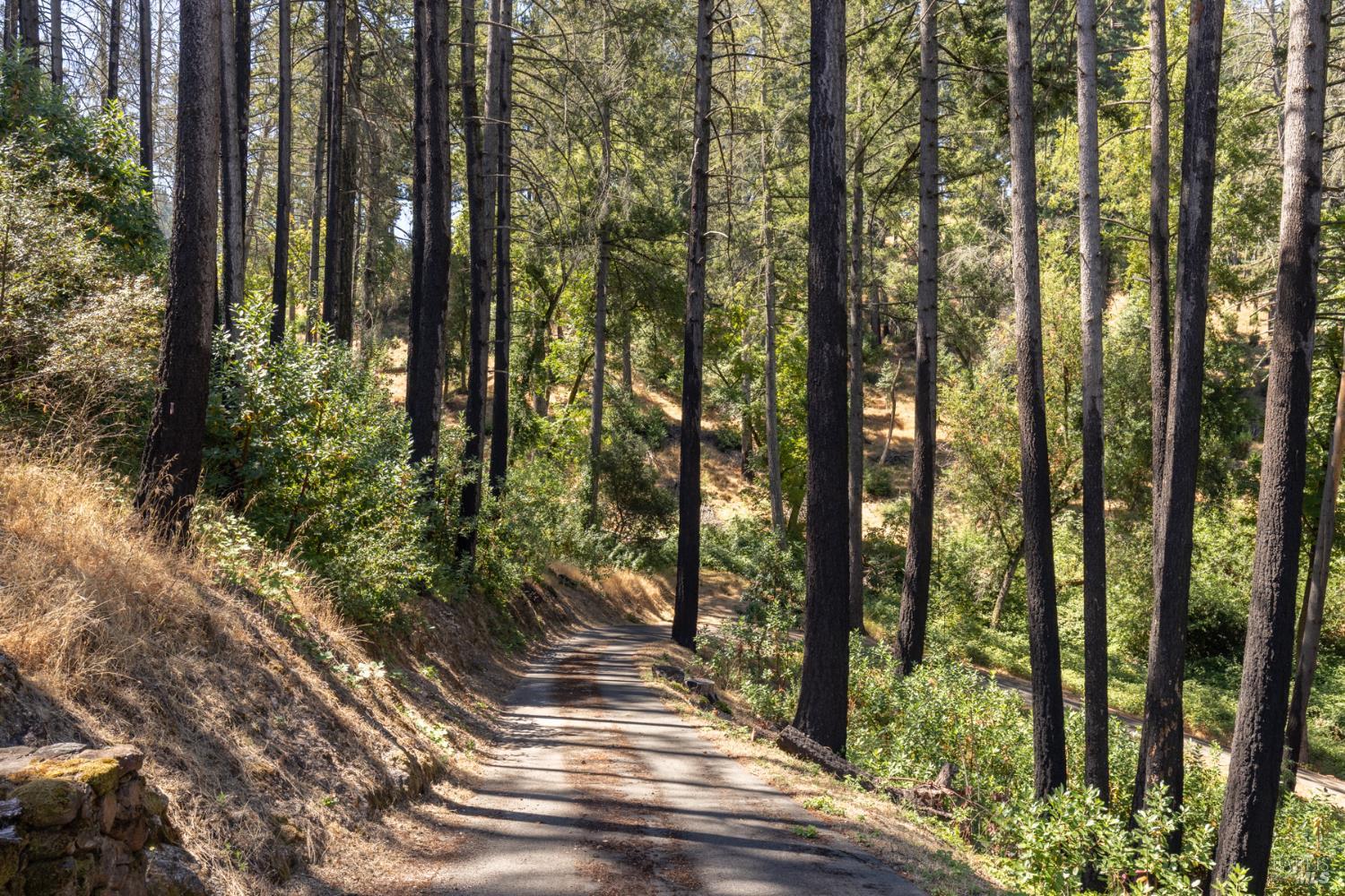 7007 Dry Creek Road Napa, CA 94558 - Photo 12 of 17 a view of outdoor space and mountain view