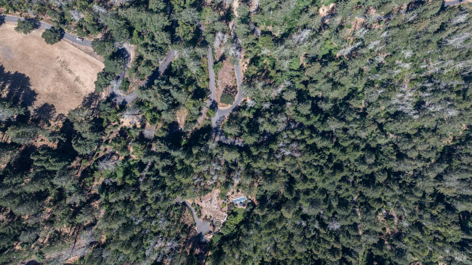 7007 Dry Creek Road Napa, CA 94558 - Photo 13 of 17 a view of a forest with a forest