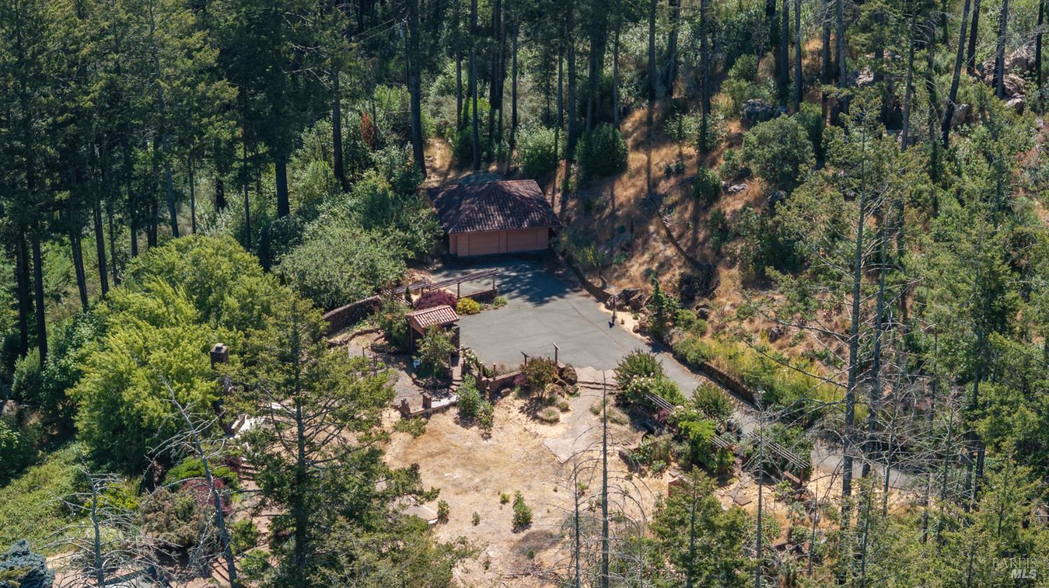 7007 Dry Creek Road Napa, CA 94558 - Photo 16 of 17 a view of a forest with trees