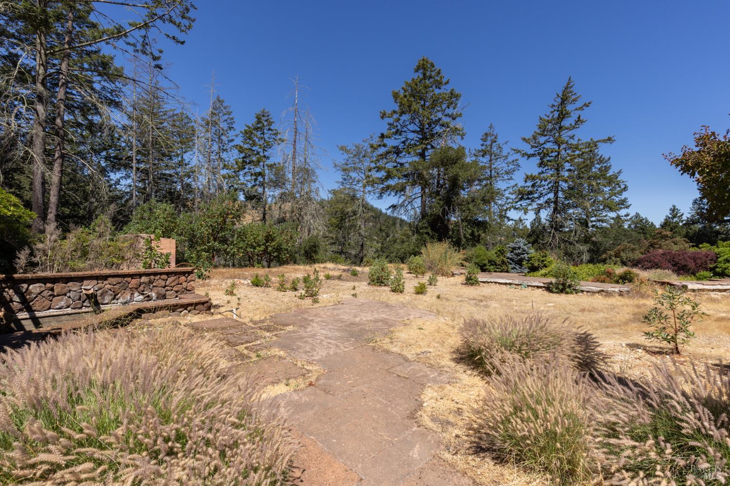7007 Dry Creek Road Napa, CA 94558 - Photo 5 of 17 a view of yard covered with snow