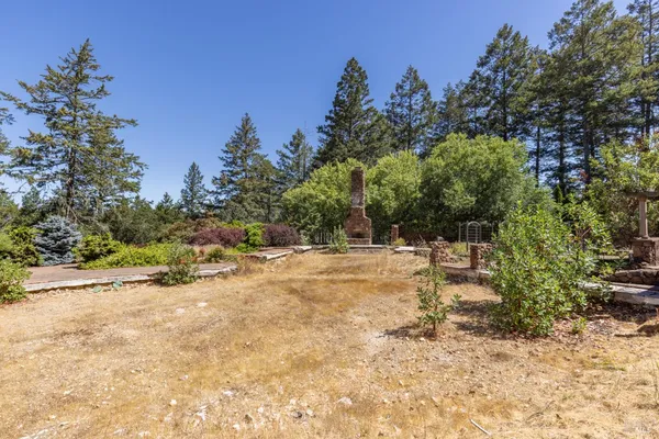 a view of a yard with a tree