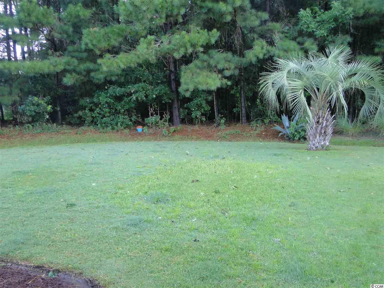 132 Seville Drive Murrells Inlet, SC 29576 - Photo 22 of 26 Gallery Image 22