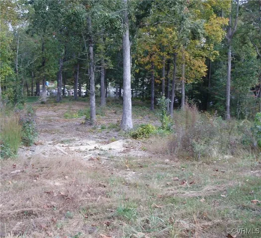 a view of outdoor space with lots of trees