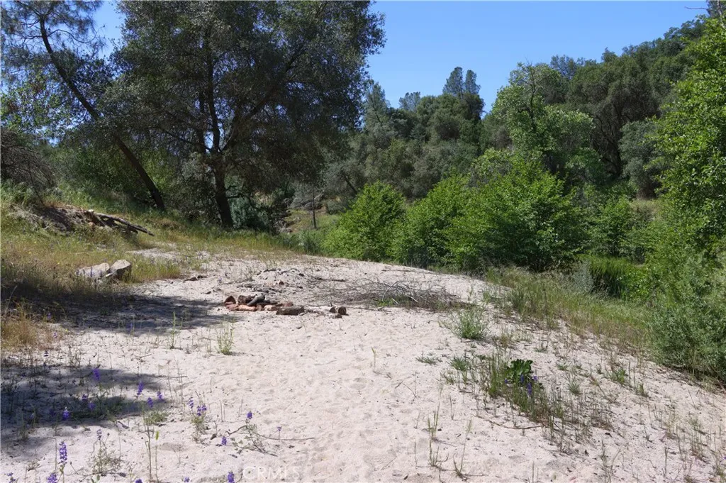 80 Polk Ranch Road Coarsegold, CA 93614 - Photo 14 of 31