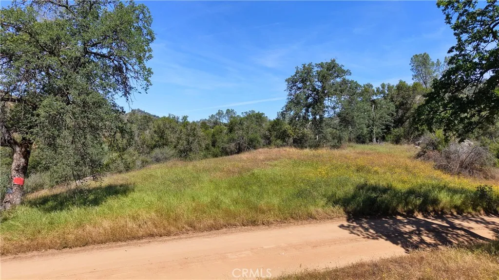 80 Polk Ranch Road Coarsegold, CA 93614 - Photo 15 of 31