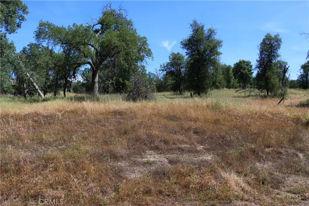 80 Polk Ranch Road Coarsegold, CA 93614 - Photo 18 of 31