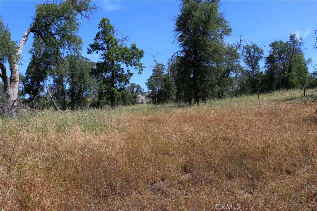 80 Polk Ranch Road Coarsegold, CA 93614 - Photo 19 of 31