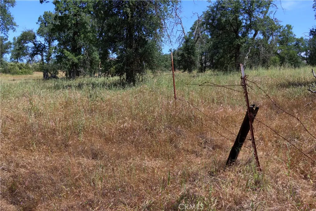 80 Polk Ranch Road Coarsegold, CA 93614 - Photo 24 of 31