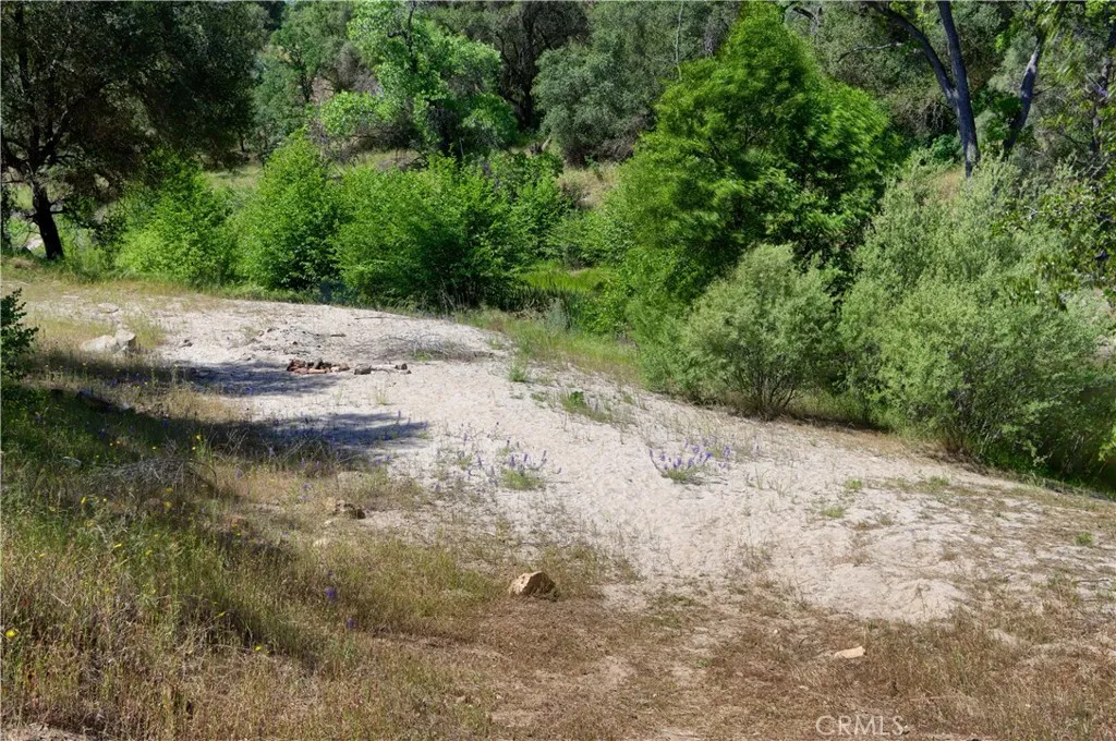 80 Polk Ranch Road Coarsegold, CA 93614 - Photo 4 of 31 Your own Beach overlooking the River.