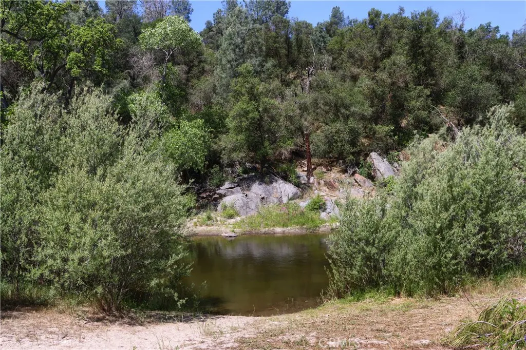 80 Polk Ranch Road Coarsegold, CA 93614 - Photo 5 of 31