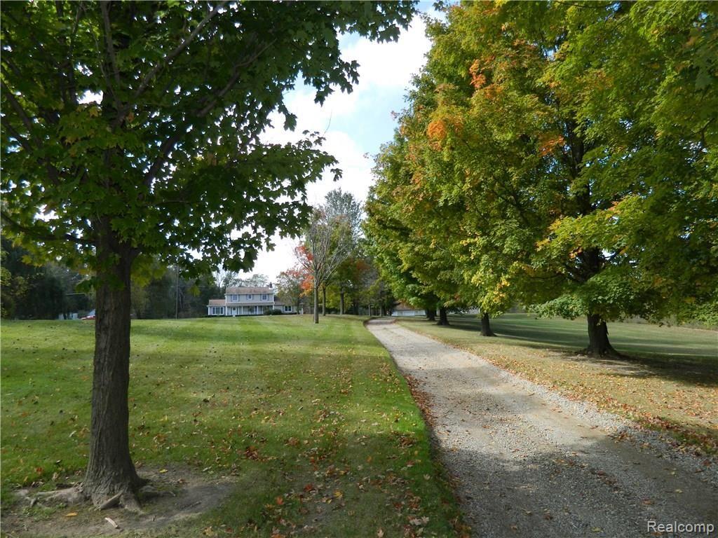 23113 Currie Road South Lyon, MI 48178 - Photo 7 of 49 Tree lined driveway
