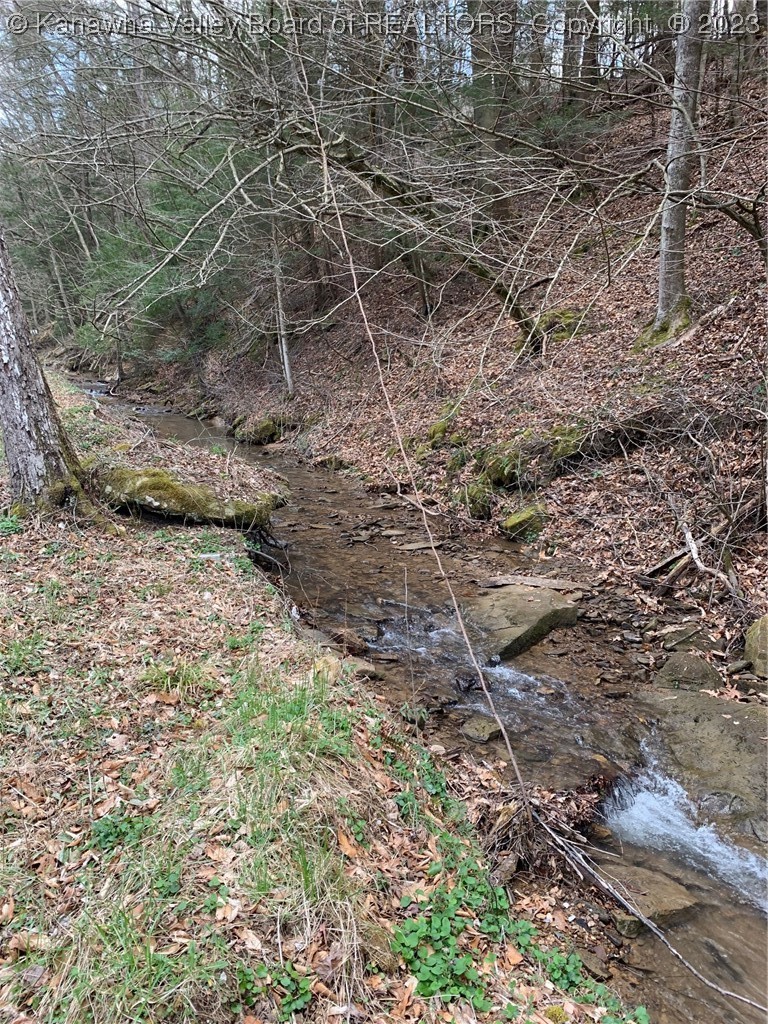444 Carolina Mountain Road Sutton, WV 26601 - Photo 14 of 17 Gallery Image 14