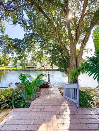 a view of a yard with plants and a large tree