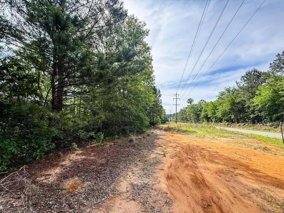 Tbd White Oak Road Big Sandy, TX 75755 - Photo 6 of 24