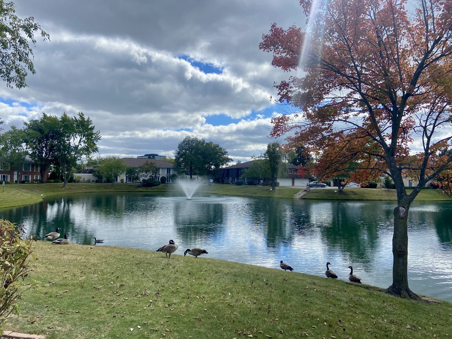 1306 South New Wilke Road, Unit 2B Arlington Heights, IL 60005 - Photo 22 of 27