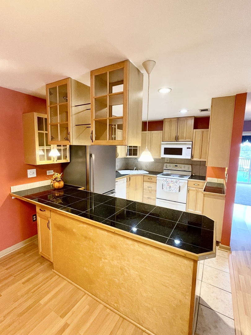 1306 South New Wilke Road, Unit 2B Arlington Heights, IL 60005 - Photo 5 of 27