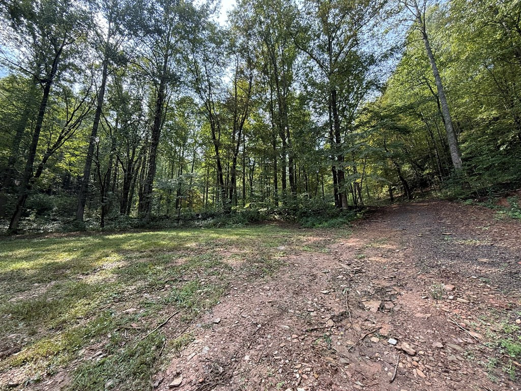 0 Claude Rogers Road Marble, NC 28905 - Photo 2 of 16