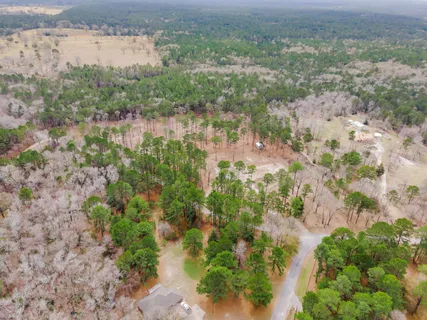 a view of a city with green space