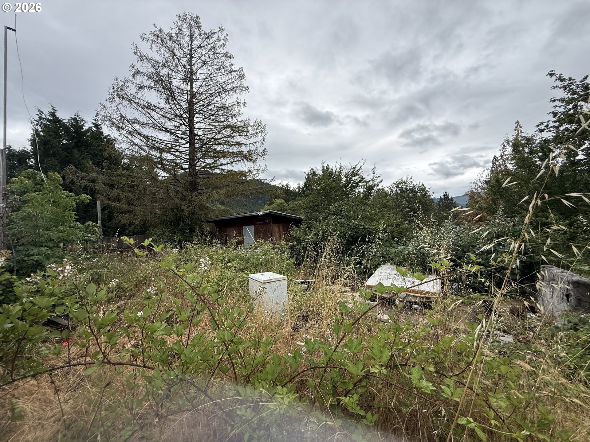 190 Michaels Ranch Lane Canyonville, OR 97417 - Photo 23 of 26