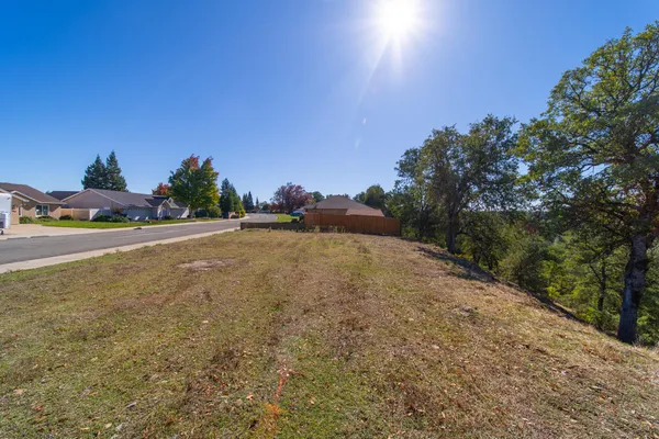 a view of a forest with trees in the background