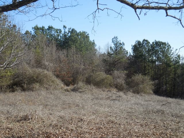 0 Clover Street, Unit LOT 14 Liberty, SC 29657 - Photo 5 of 6 Gallery Image 5
