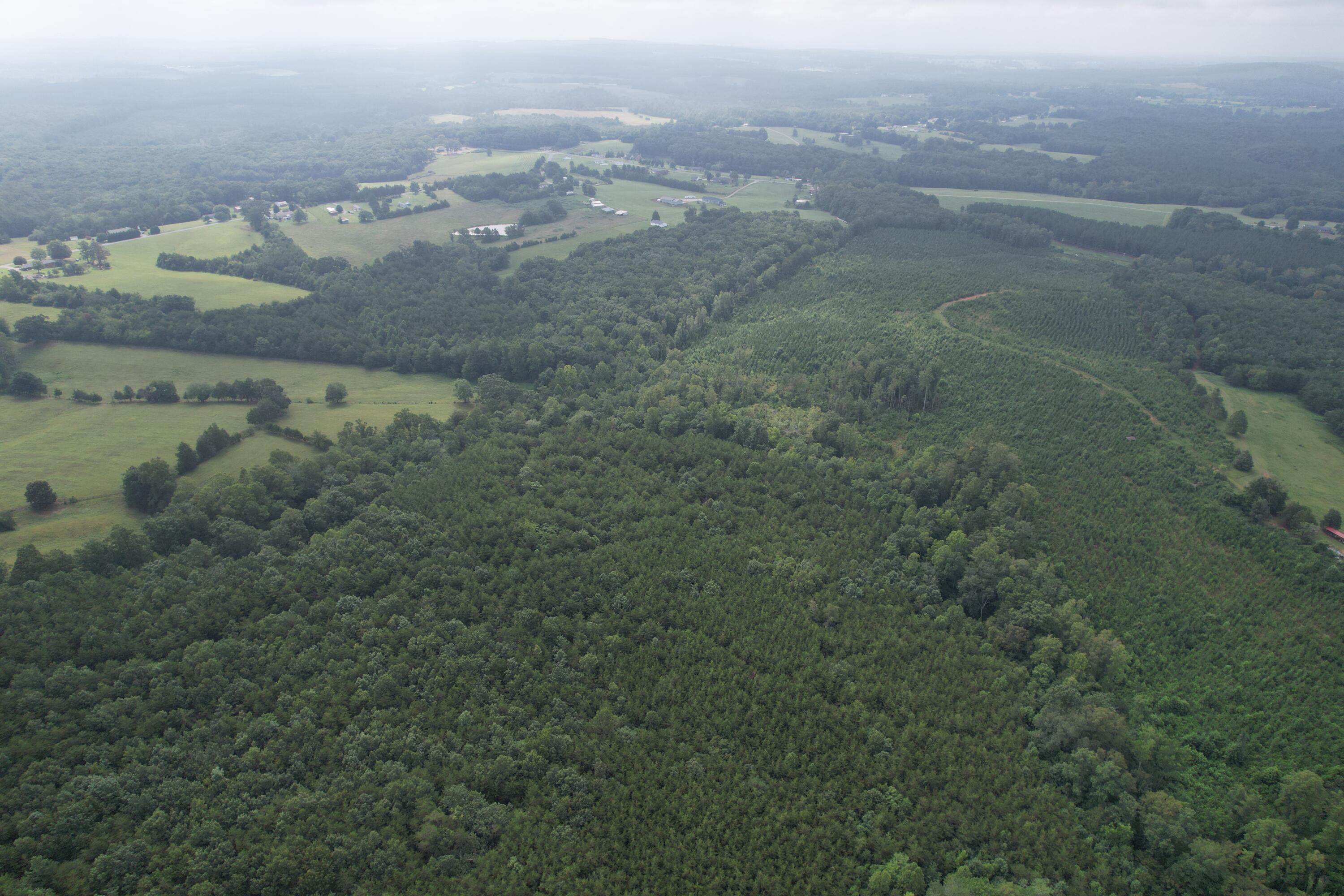 0 Paisley Road Gretna, VA 24557 - Photo 15 of 48 DJI_0097