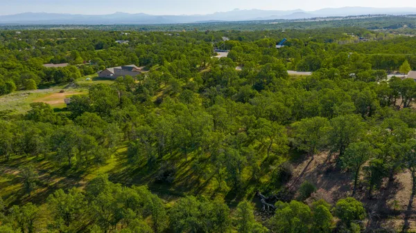 a view of a city with lush green forest
