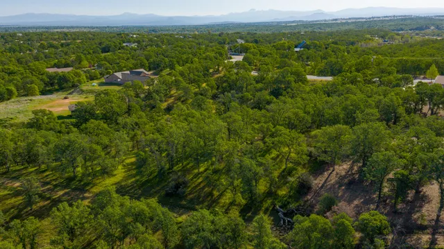 a view of a city with lush green forest