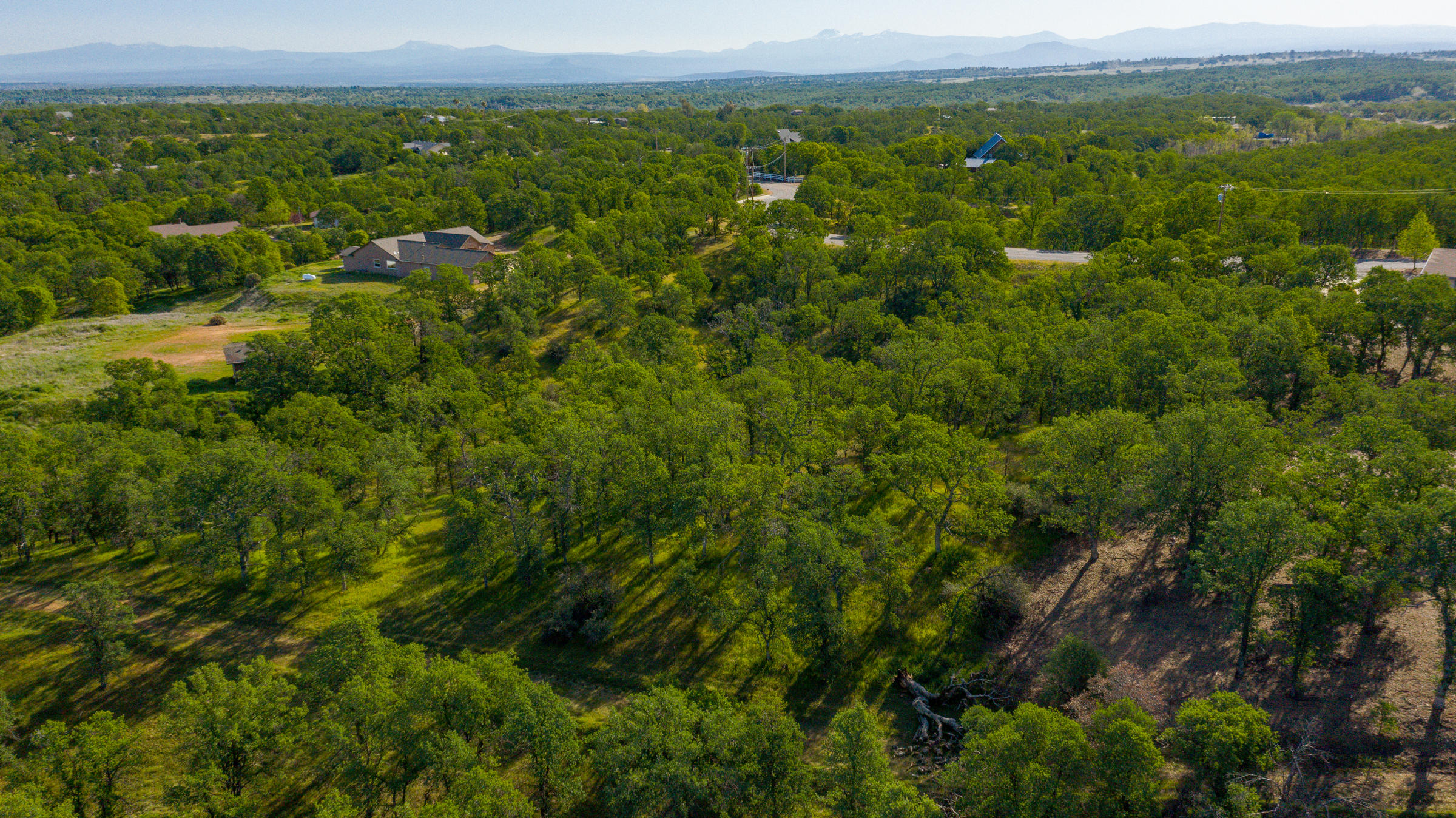 18623 Saddleback Ridge Loop Cottonwood, CA 96022 - Photo 12 of 28 a view of a city with lush green forest
