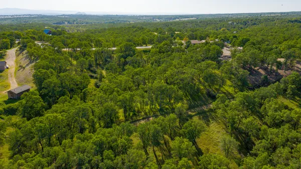 a view of a green field with lots of bushes