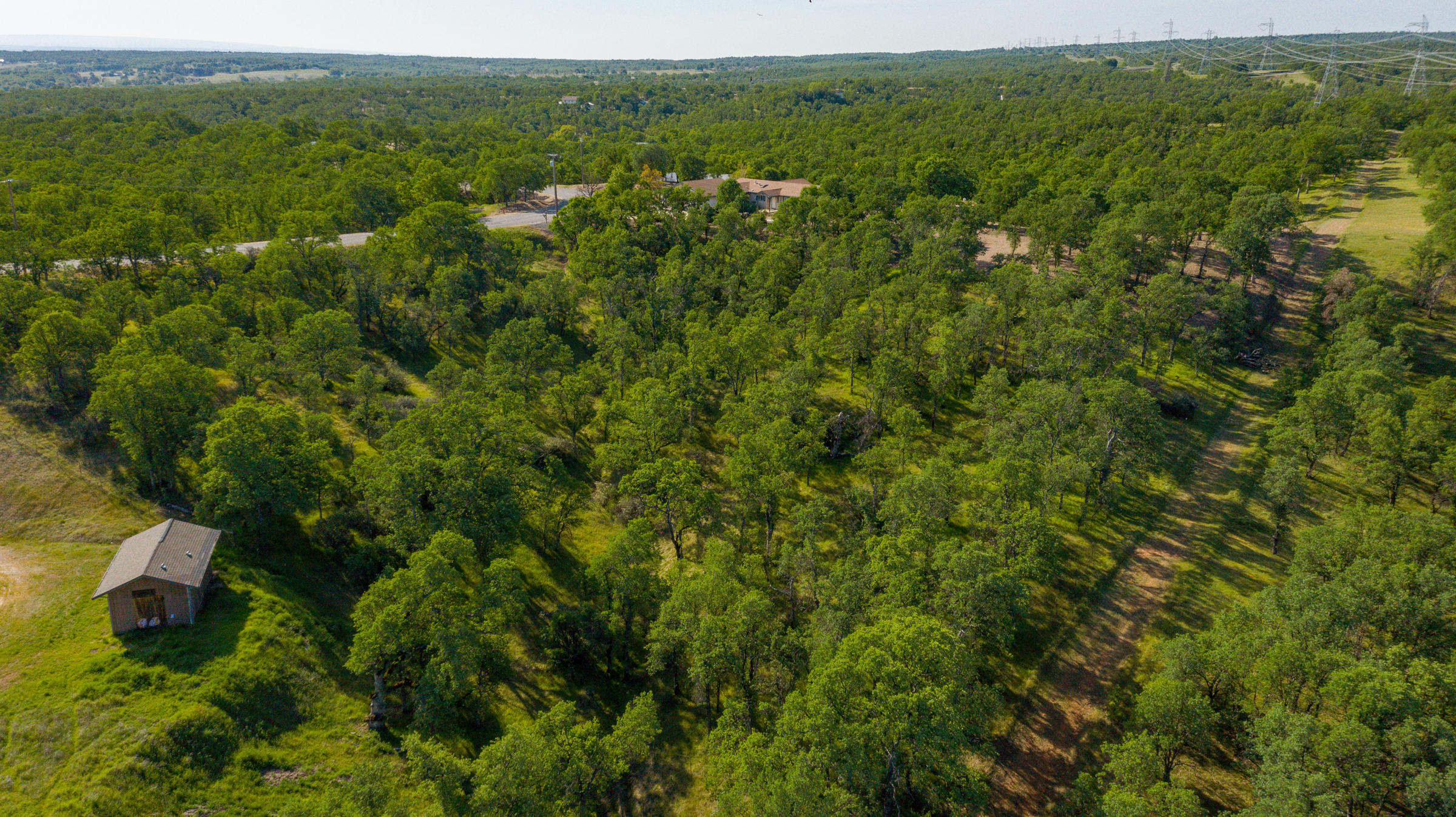 18623 Saddleback Ridge Loop Cottonwood, CA 96022 - Photo 14 of 28 a view of a lush green forest with trees and some houses