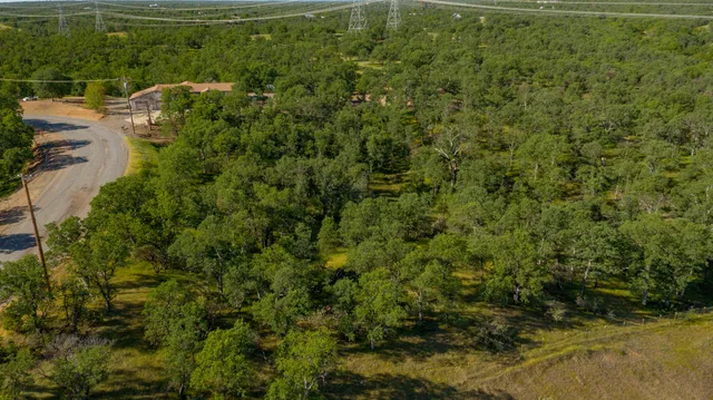 a view of a garden with a pathway