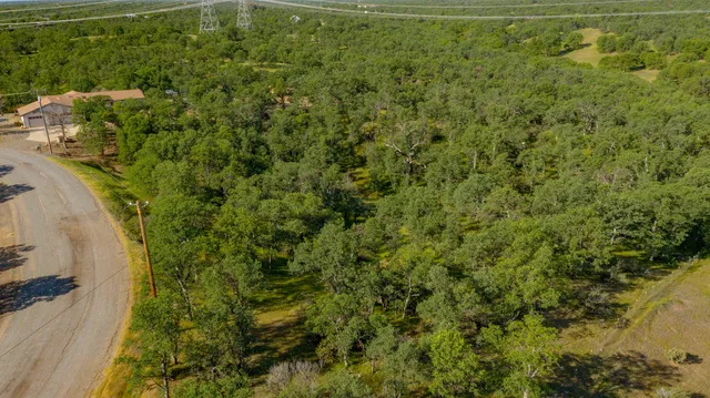 a view of a lots of trees and bushes