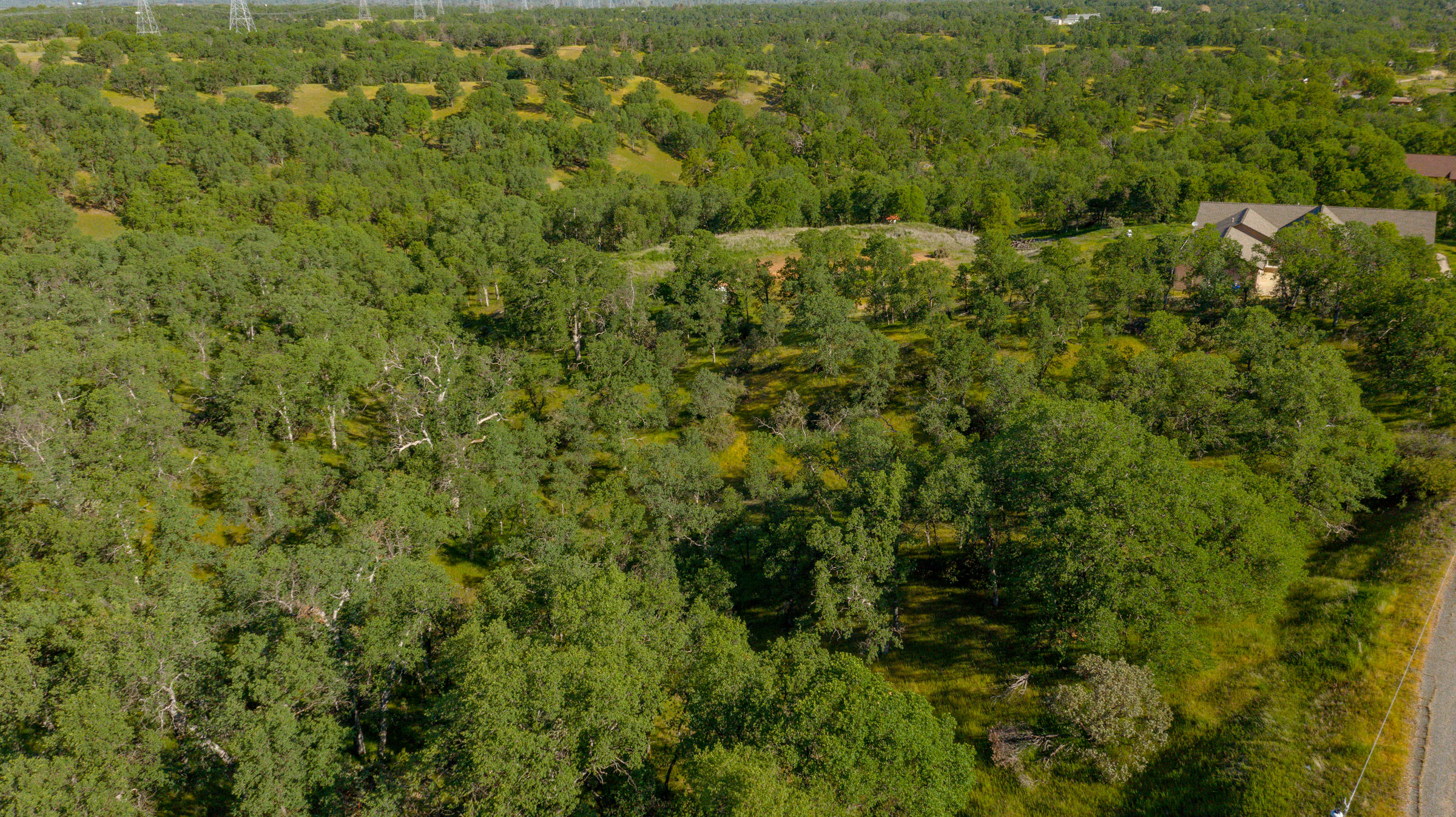18623 Saddleback Ridge Loop Cottonwood, CA 96022 - Photo 18 of 28 a view of a lots of trees and bushes