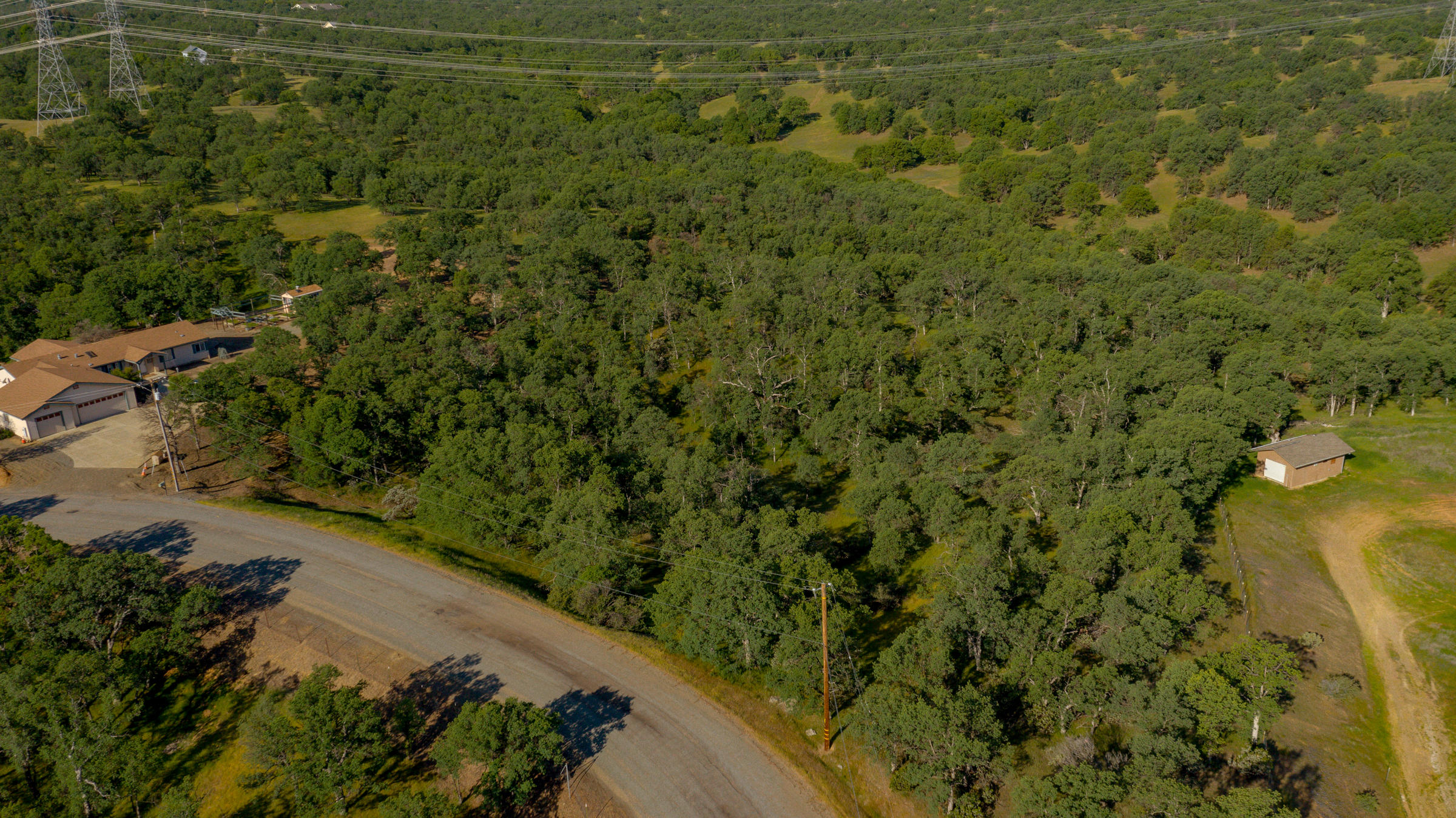 18623 Saddleback Ridge Loop Cottonwood, CA 96022 - Photo 22 of 28 a view of a yard with a plants