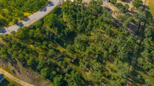 a view of a lush green forest